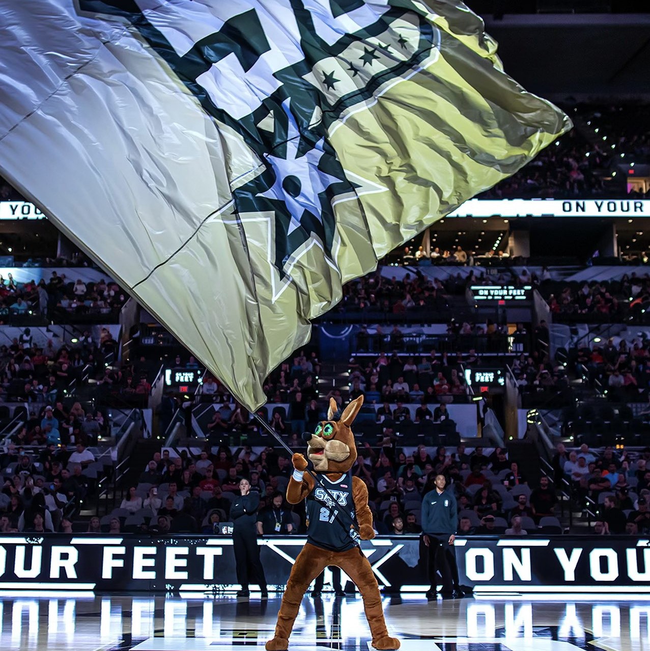 经验丰富 经验丰富